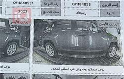 جيب رينيجيد